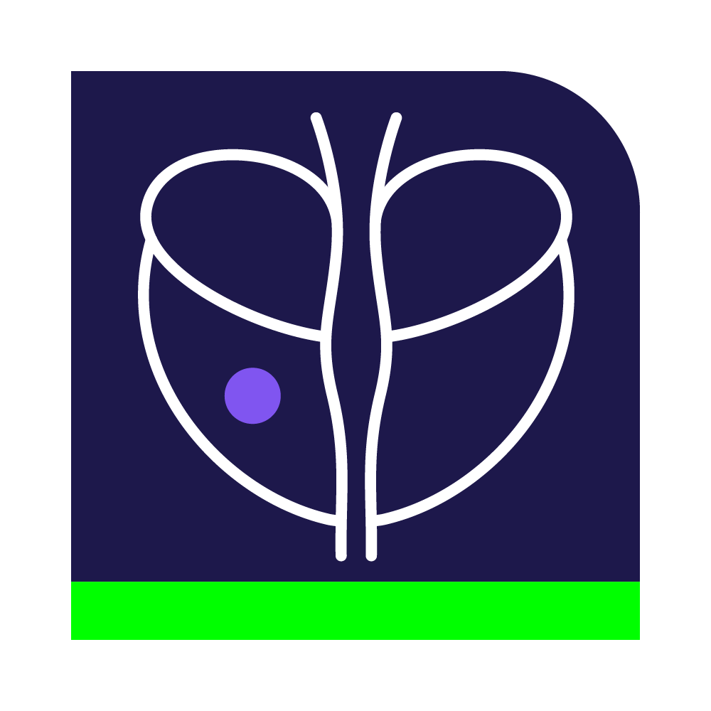 ACR Prostate Imaging Reporting & Data System (PI-RADS™)