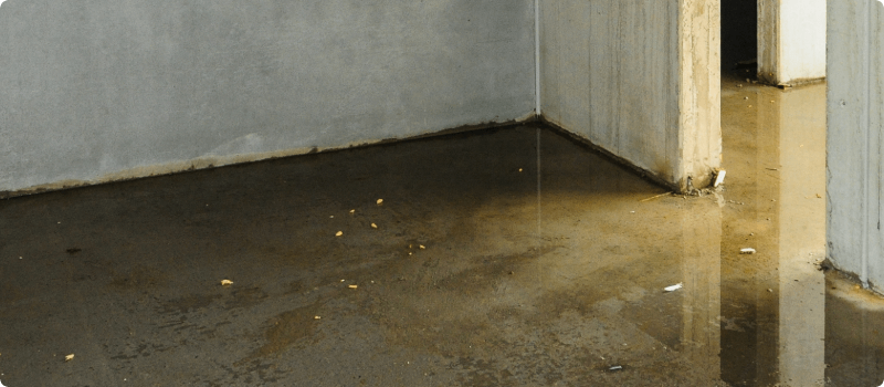 A flooded basement.