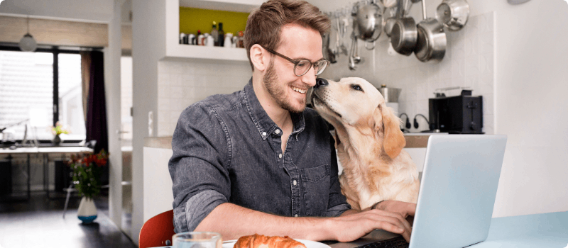 Person working on his laptop while his dog licks his face.
