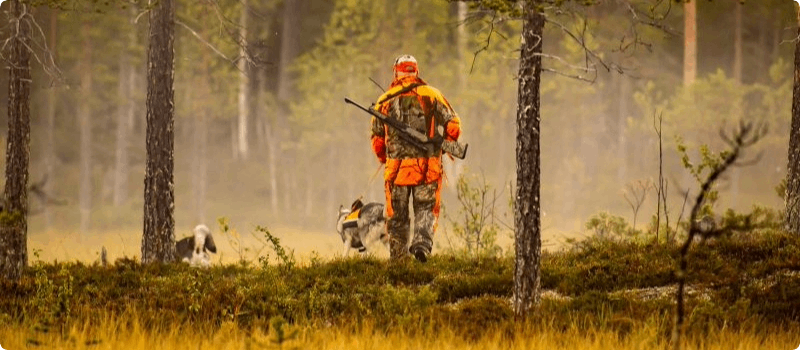 Hunter in the woods with their dog.