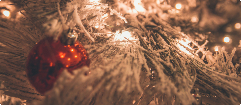 A close-up of a flocked Christmas tree.
