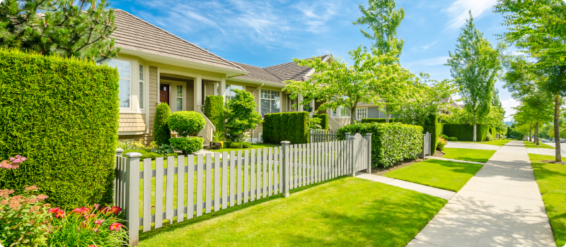 Houses in the suburbs