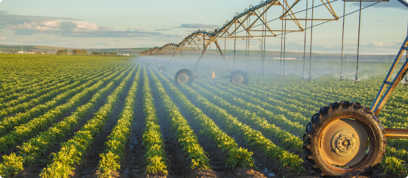 crops being sprayed