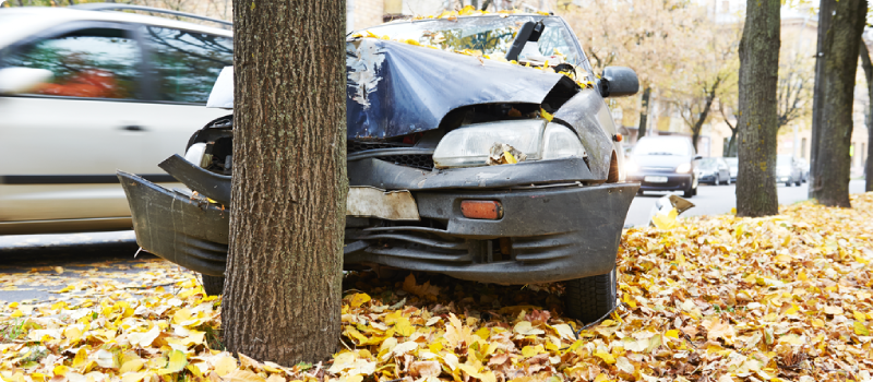 a car that drove straight into a tree