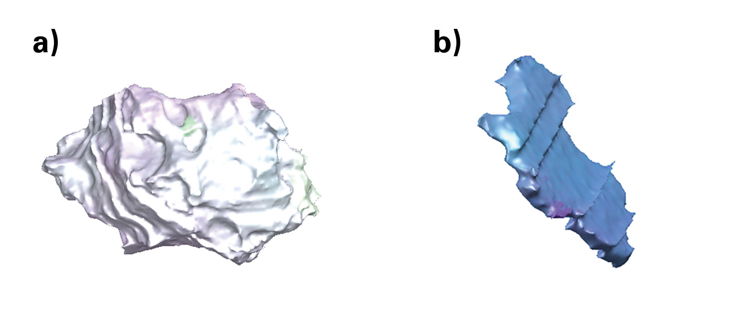 Two different grains from this microstructure. a) Depicts a typical near-equiaxed grain and b) shows a thinner twinned grain.