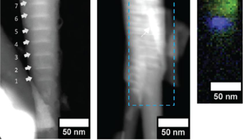 (a) and (b) SEM images of the as-grown NRs, (c) and (d) dark field STEM images of the NRs after mechanical exfoliation. A typical “perfect” NR is shown in (c) with eight 3 nm thick InGaN Qdisk inserts observed; green luminescence from the Qdisks in these NRs was observed at 550 nm, FWHM 55 nm. An example of an NR which contained a Qdot-like InGaN cluster is shown in (d). Although disk-like features are observed, they were incomplete, branched or swollen and poorly separated. When the region indicated by the blue rectangle was analyzed by CL spectrum-imaging, weak emission at 550 nm was observed from most of the Qdisk region, however, a single Qdot-like blue emission center (459 nm, FWHM <8 nm) was found. The emission was found to emanate from an ~10 nm InGaN cluster indicated by the white arrow in (c). This is observed in the true-color representation of the CL data cube (e) in which the color of each pixel in the image display is calculated from the emission spectrum at each pixel; a CL spectrum from the Qdot-like center is displayed in (f). CL analysis was performed in a JEOL 2100F STEM operating at 80 keV with the sample held at a temperature of ~100 K. After Prabaswara et al. J. of Nanophotonics, 11(2), 026015 (2017).
