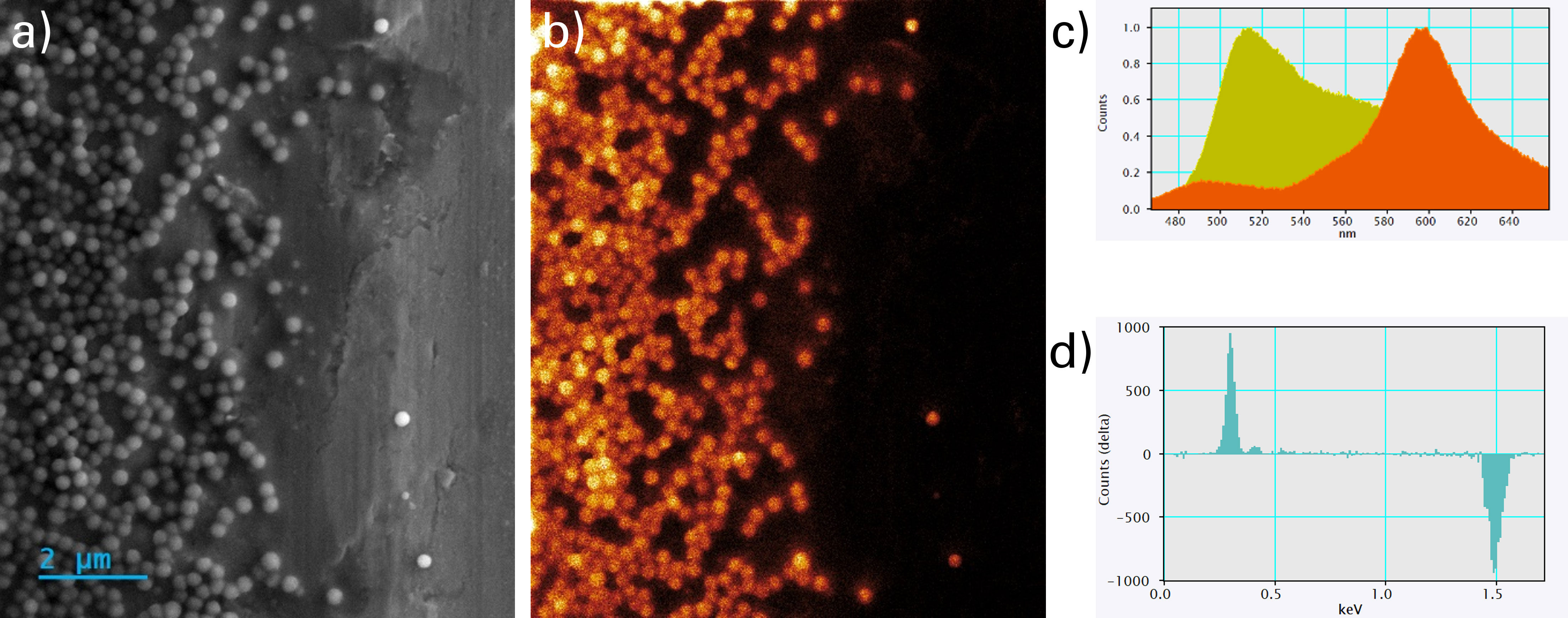 Experimental data from a fluorescent ink sample. a) Secondary electron image showing the morphology of the deposited ink. b) CL map showing intense light emission from the pseudo-pigment spheres, with some small signal from the binder on the substrate. c) CL spectra showing the wavelengths of the emitted light focused around 600 nm for orange ink and 515 nm for the yellow ink. d) EDS delta between spheres and the Al substrate, showing strong carbon signals associated with the polymer particles.