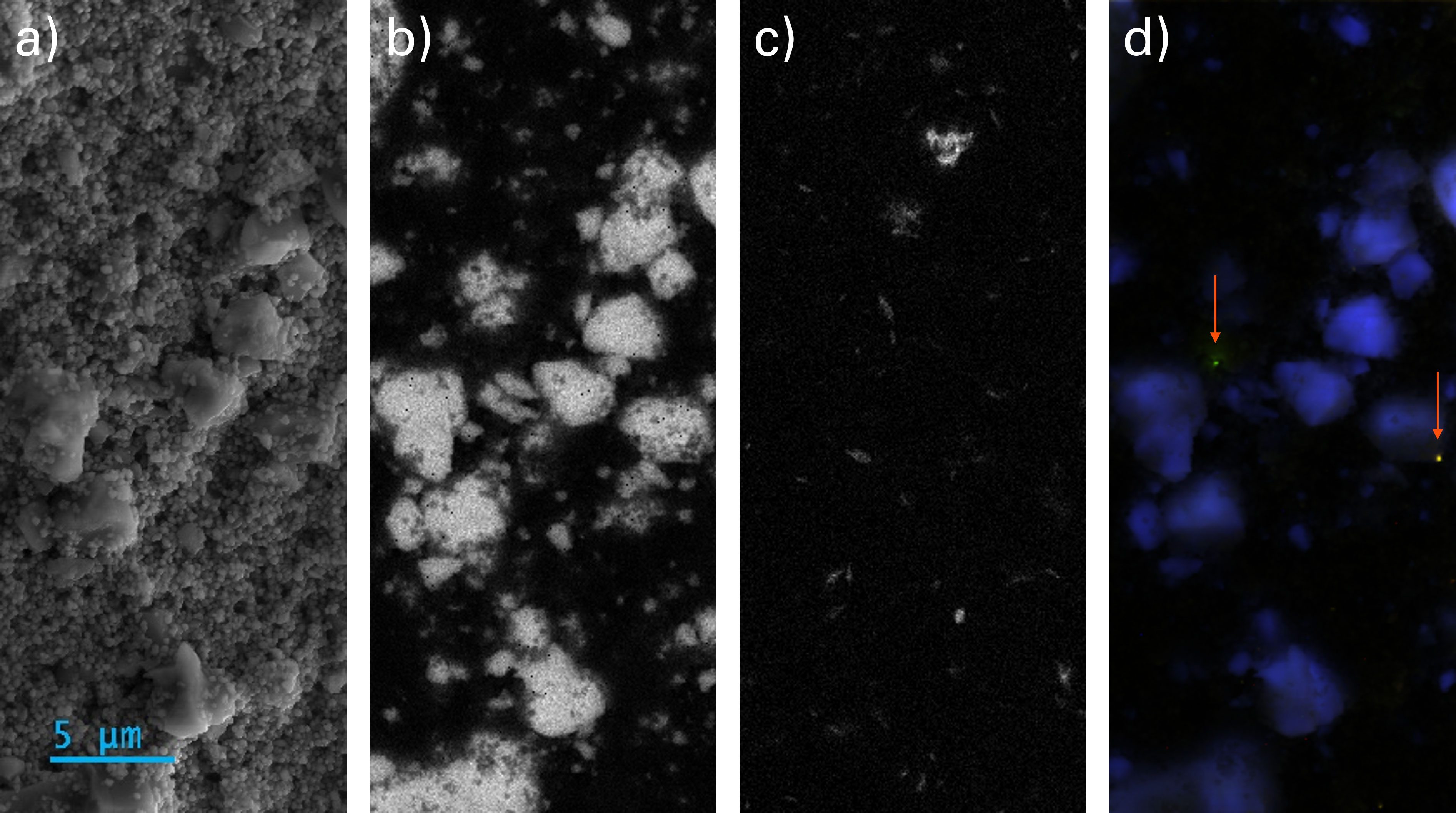 SEM analysis of ice yellow acrylic paint. a) Secondary electron image showing surface morphology, b) a Ti elemental map, c) an iron map, and d) a composite CL image showing the calcite peak in blue and two fluorescent particles in green and red.