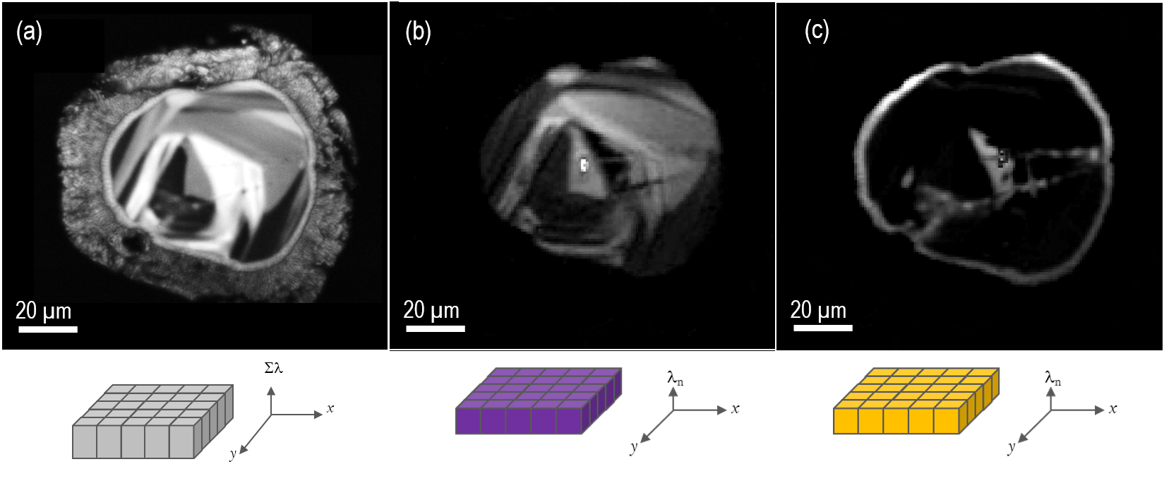 CL images of the same zircon as shown in Figure 2. Image a) unfiltered CL image revealing internal texture, b) and c) wavelength-filtered CL images at 404 and 575 nm respectively corresponding to Er3+ and Dy3+ trace rare-earth ions; the wavelength-filtered images have been processed by removal of the ZrSiO4 background signal at 650 nm. The Er3+ and Dy3+ concentrations were in the range 10 – 300 ppm, as determined by microanalysis in the electron probe microanalyzer. Schematic representations of the acquisition modes used are displayed immediately below the respective CL image. Images captured using the MonoCL4™ Elite detector and provided courtesy of Michael Zanetti, Washington University in St. Louis and the McDonnell Center for the Space Sciences, Earth and Planetary Science Dept.