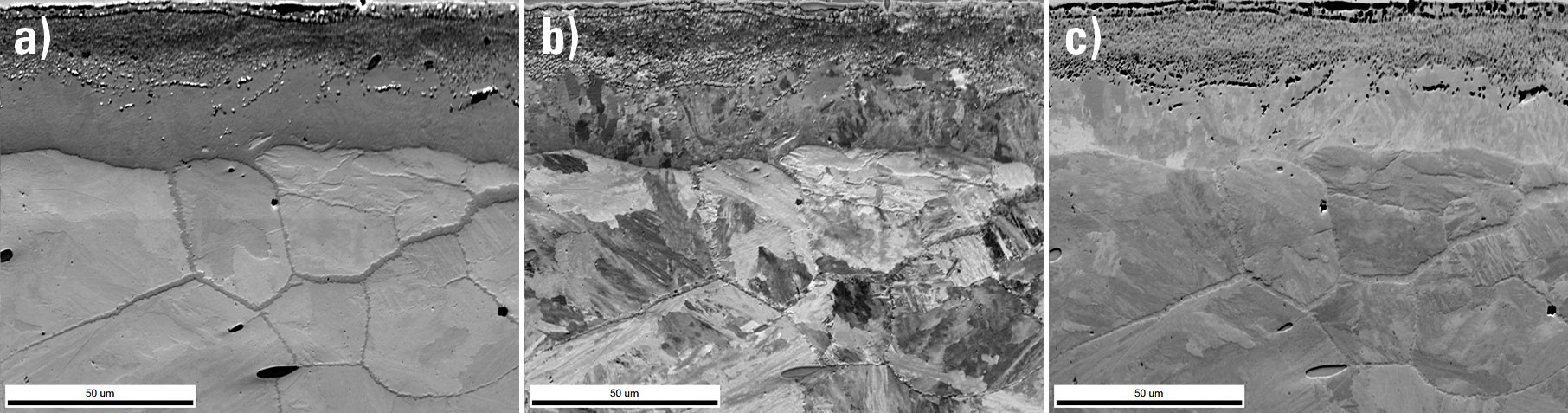 PRIAS™ images from the a) top, b) middle, and c) bottom ROIs showing different microstructural contrasts within the analysis region.