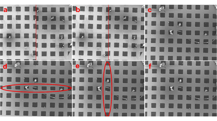 Montage image alignment. The scan rotation angles in a, b, and c are 3º, 1º, and 1.6º, respectively. 1.6º represents a good scan rotation calibration without a mismatch in the figure. d) The stage movement is too far in the Y direction since the grids along the horizontal axis are heavily shrunk in the Y direction. e) After decreasing the reference height value, the stage moves exactly one field in the Y direction. The stage still moves a little far in the X direction as the horizontal side of the grids along the vertical axis is measured slightly shorter than the vertical side. f) Magnification reference adjustment is done after marginally decreasing the reference width value.