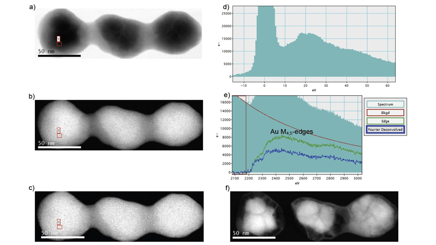 a) EELS SI from the low-loss region; b) EELS SI from the core-loss region; c) EELS SI from the core-loss region deconvolved; d) EELS spectrum extracted from the low loss-region; e) EELS spectra before and after deconvolution. The contribution from the multiple scattering is evident; f) Au M4,5-edges elemental map.
