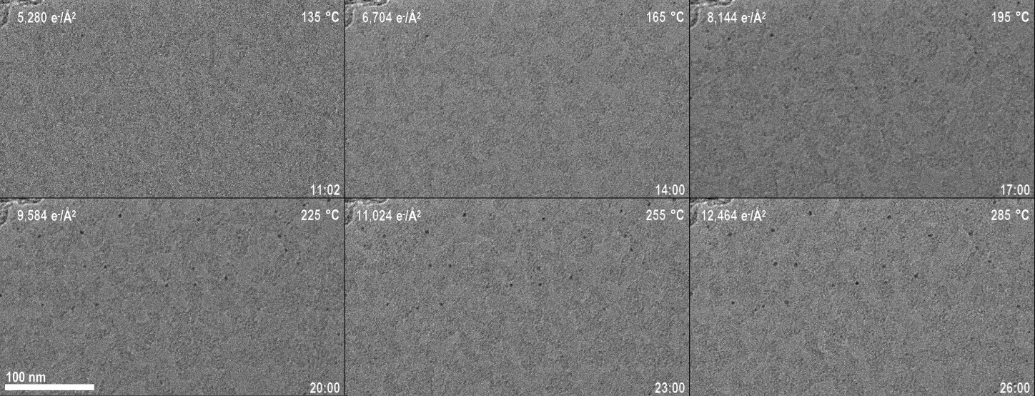 Imaging carbon nanoparticle agglomeration on MoS2 at a low dose rate