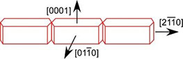 Microfiber anisotropic growth model.