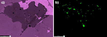 a) Si K and b) P K montage maps of an entire heart-shaped phenocryst in the granite sample.