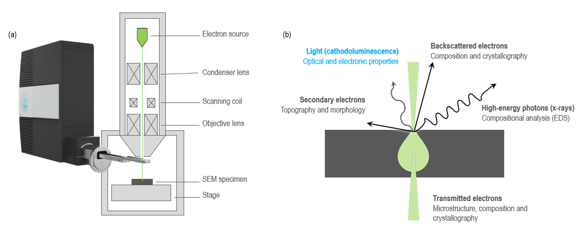 (a) The Monarc™ cathodoluminescence detector attached to a scanning electron microscope. (b) The CL detector collects, processes, and analyzes the light emission that result from electron-specimen interactions.