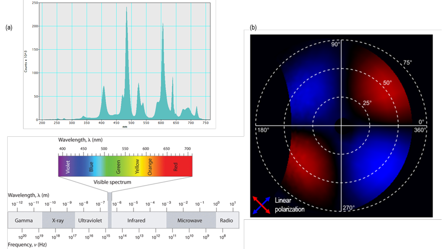 (a) A CL spectrum from a rare-earth-doped ceramic reveals emissions across the ultraviolet, visible, and near infrared portions of the electromagnetic spectrum. (b) The difference in emission pattern from a nanoplasmonic particle measured at orthogonal linear polarization directions.