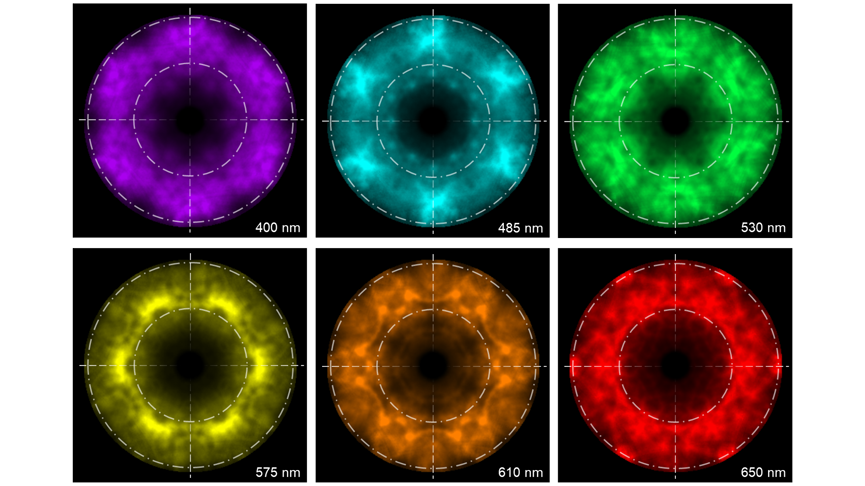 Six emission patterns from the micropillar array extracted from the reconstructed WARCL data set with central wavelength displayed in each frame which has 1.9 nm bandwidth. Each emission pattern has been colorized according to the emission wavelength and normalized by intensity to aid clarity.