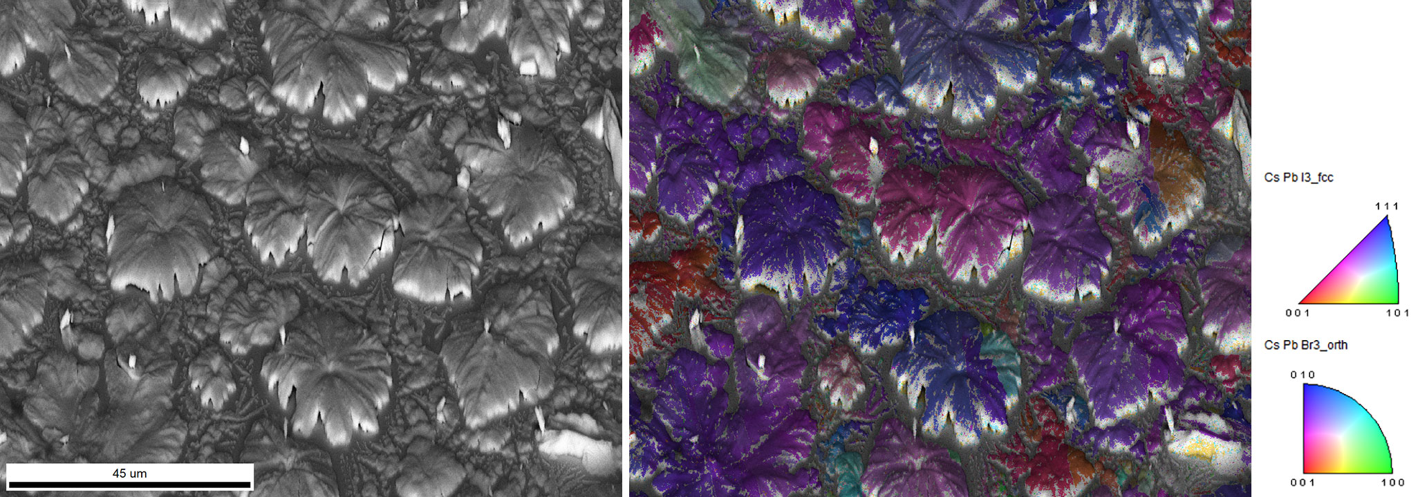 (left) SEM image and (right) IPF map of CsPbI3 halide perovskite collected using 15 kV and 300 pA electron beam. The larger grains are an orthorhombic phase; in between these grains, a small fraction of a cubic phase was observed. Sample courtesy of Dr. Julian Steele (KU Leuven, Belgium).