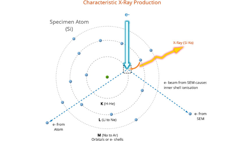 Characteristic X-ray production using Si K_α as an example. Adapted from myscope.training.