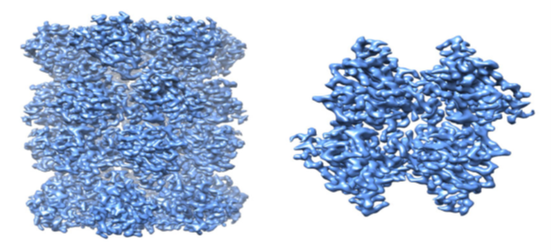 Breakthrough K3 result: 2.7 Å structure of the 20S Proteasome with the K3 camera and Elsa cryo-holder on a TF20. Data courtesy of Alexander Myasnikov, Michael Braunfeld, Yifan Cheng, and David Agard.