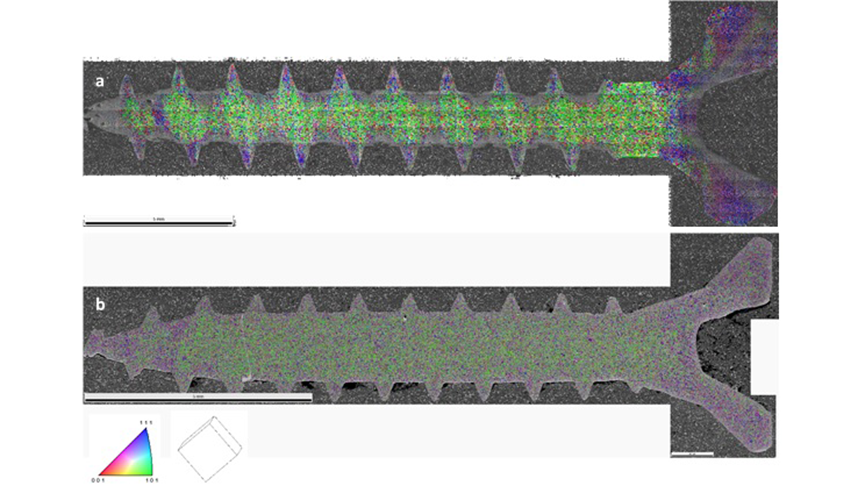 An EBSD IPF (Y) on image quality maps of a) a coarse grained screw and b) a fine-grained screw. All the green grains are aligned with one of the edges of the unit-cell cube facing towards the tip of the screw.