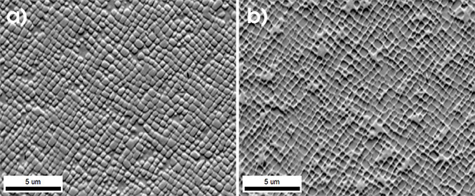 PRIAS images from a nickel superalloy from a) an ROI positioned in the center of the detector screen and b) an ROI positioned at the bottom of the screen.