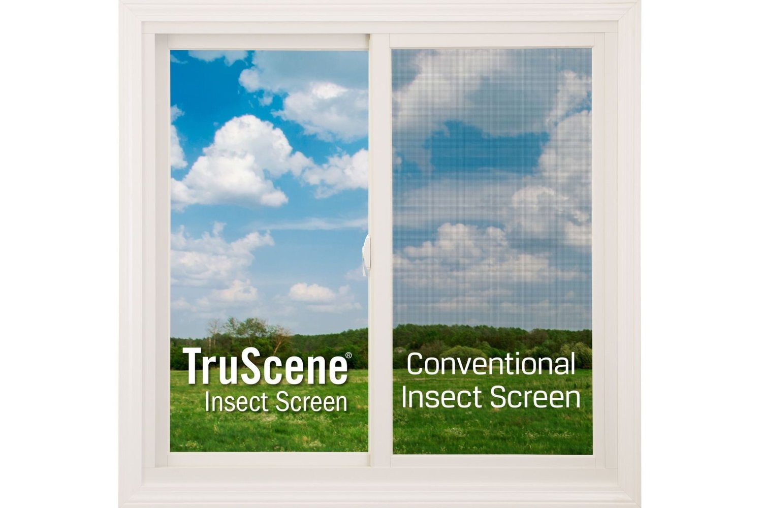 Renewal by Andersen Insect Screen Comparison, TruScene vs Conventional Insect Screen