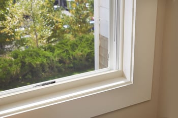 A truscene insect screen in a window.