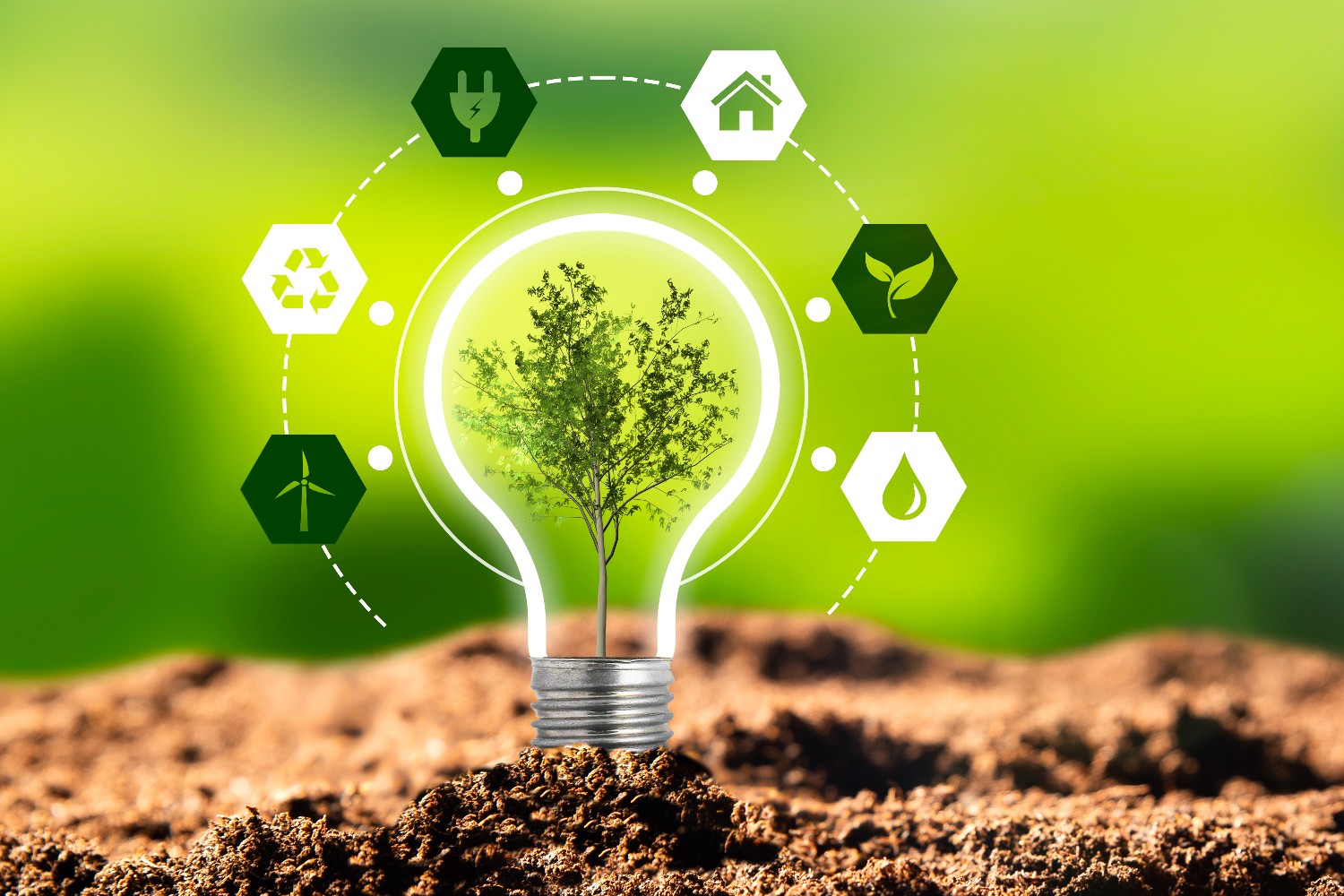 Our Commitment to Sustainability | Renewal by Andersen