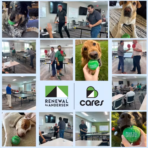 A collage of images including individuals playing ping pong and dogs posed with Renewal by Andersen branded tennis balls.