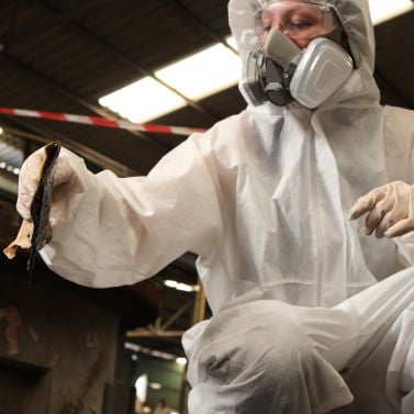 asbestkeuring arbo unie