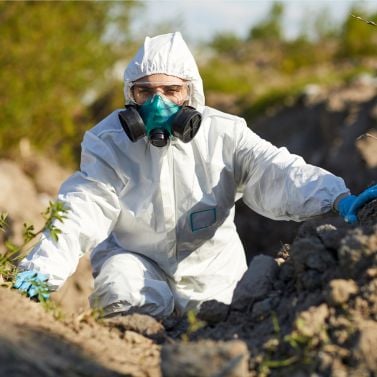 bodemsaneringskeuring categorie c arbo unie