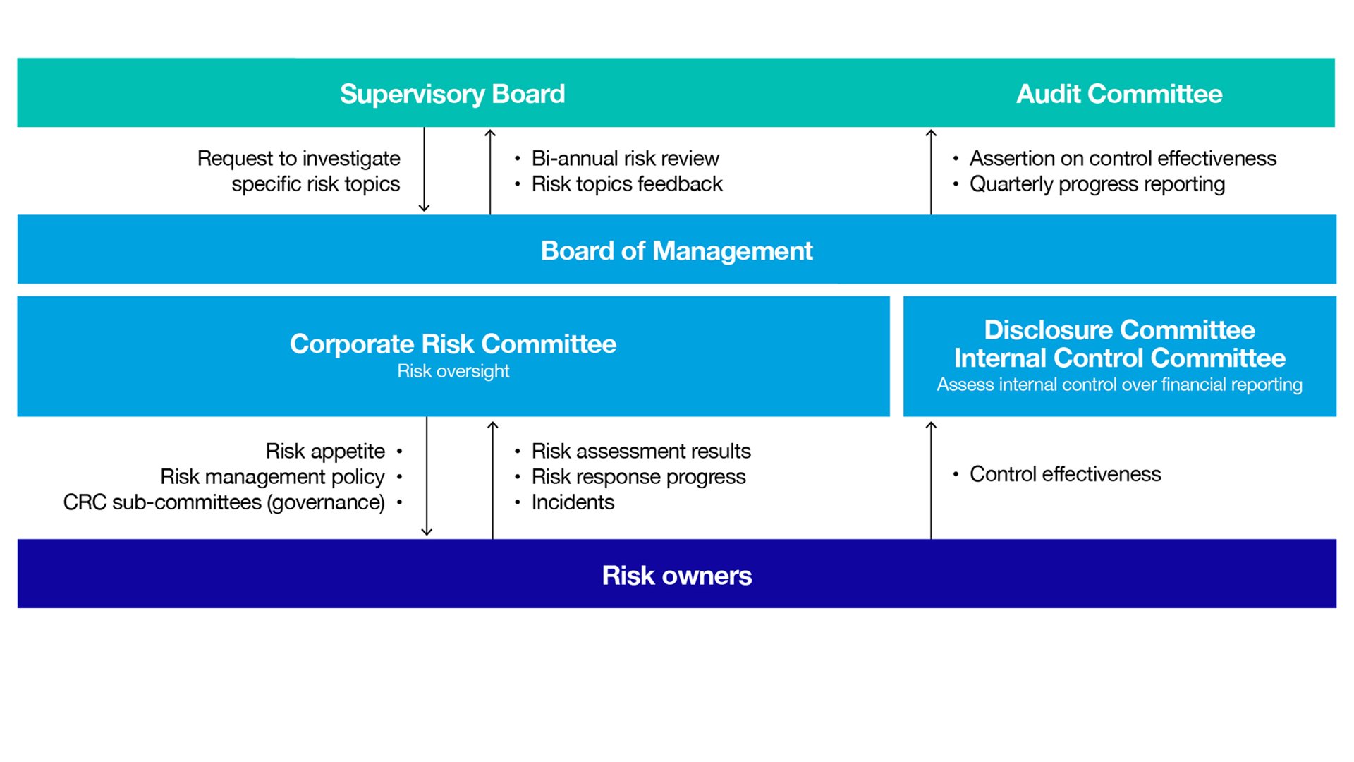 Risk management  governance structure