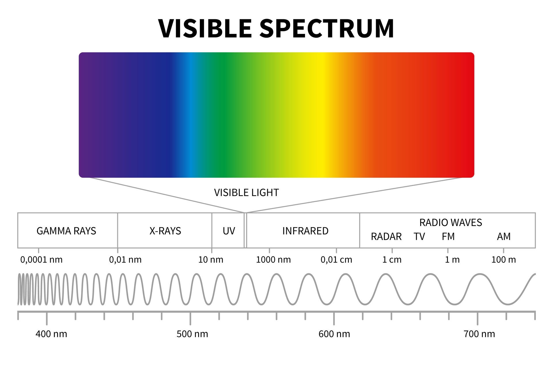 A diagram of the light spectrum focusing on visible light.