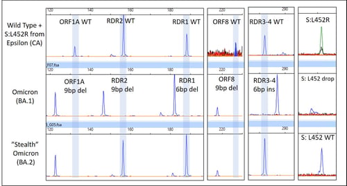 Scientific Short Figure 1