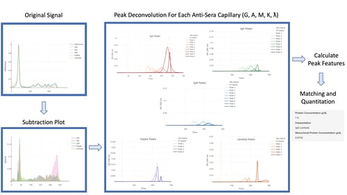 Figure 1. Peak Deconvolution For Each Anti-Sera Capillary