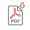PDF