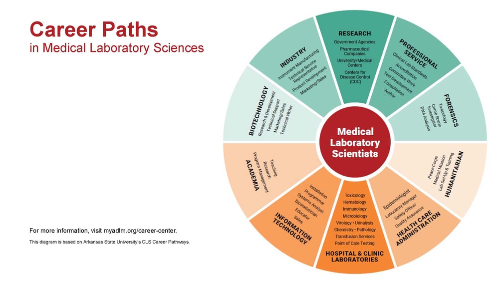 Career Path Wheel