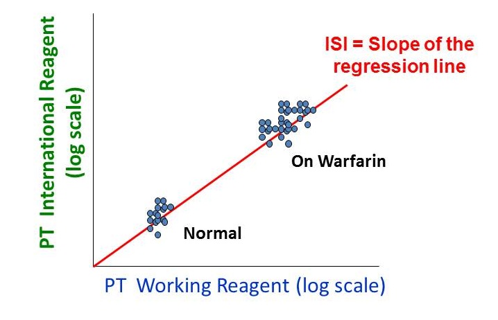 The International Normalized Ratio:  How well do we understand this measurement?