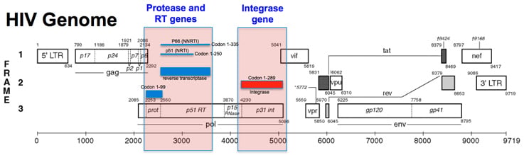 aacc scientific short image