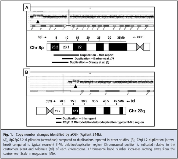Fig. 1 Copy number changes identified by aCGH