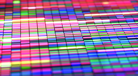 Precision Medicine