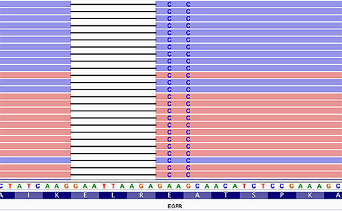 A chart with blue, red, and white rows, with two rows of letters at the bottom, and two columns of the letter C