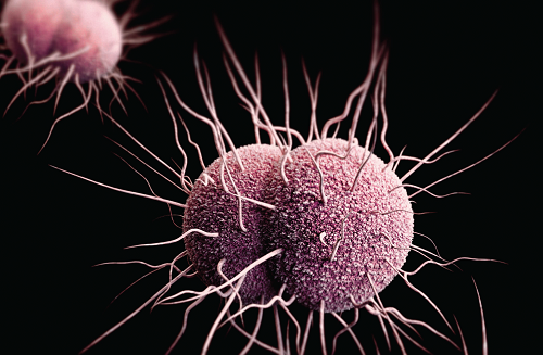 A drug resistant microbe depicted in purple floating ominously against a black background