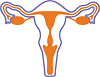 illustration of a vagina
