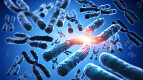 Artist's interpretation of cytogenetics in laboratory medicine