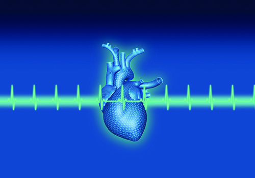 A blue colored human heart arounded by a heartbeat line with a blue background.