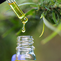 A dropper drips yellow oil into a bottle. In the background is a plant