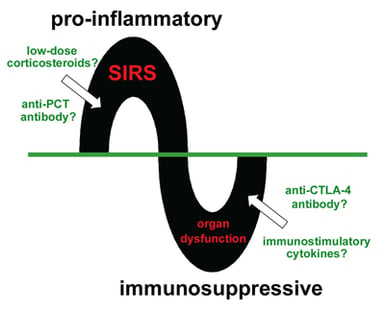 Figure 3: The Two Phases of Sepsis